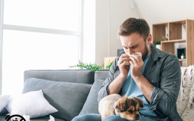 Vive en un hogar a prueba de alergias