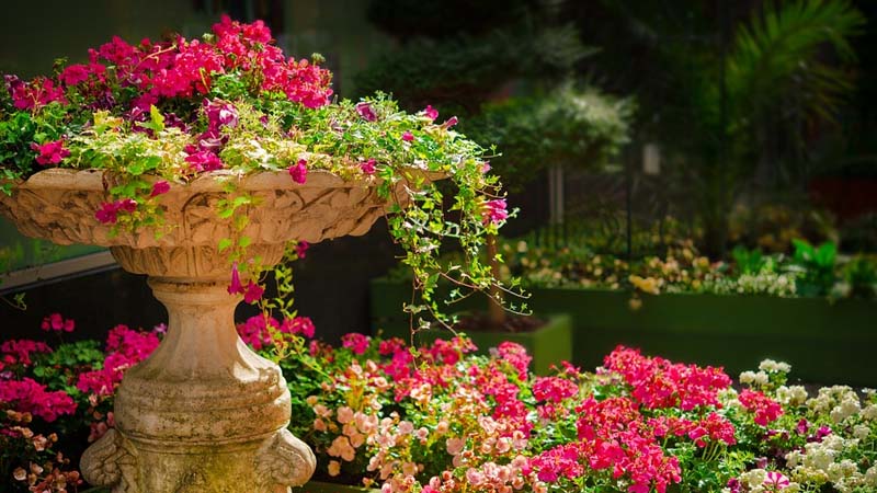 Limapark sabe cómo se mantiene tu jardín