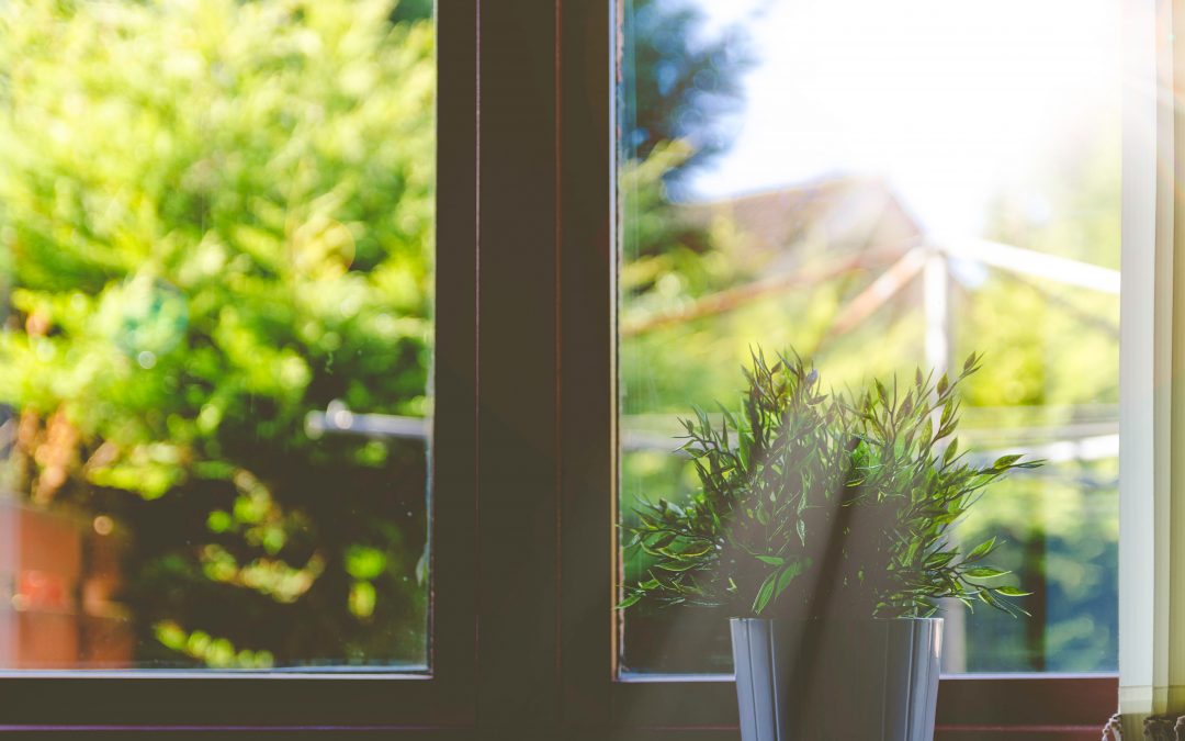 Uso de productos ecofriendly para limpieza para oficina